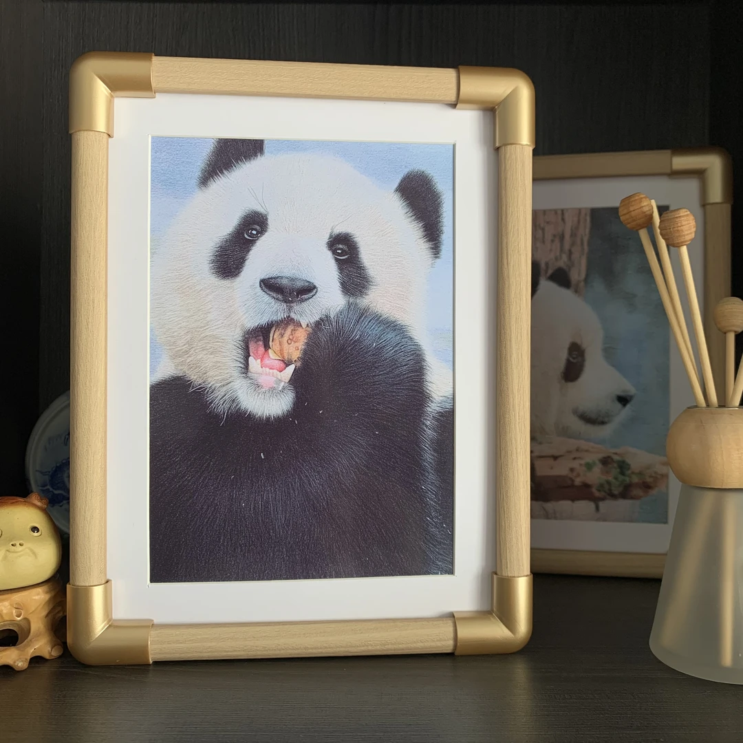 【熊猫渝可绘画主题相框】文创摆台周边家居装饰摆件方形画框照片墙