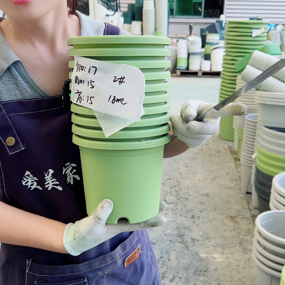 四季盆2#果绿10个无托