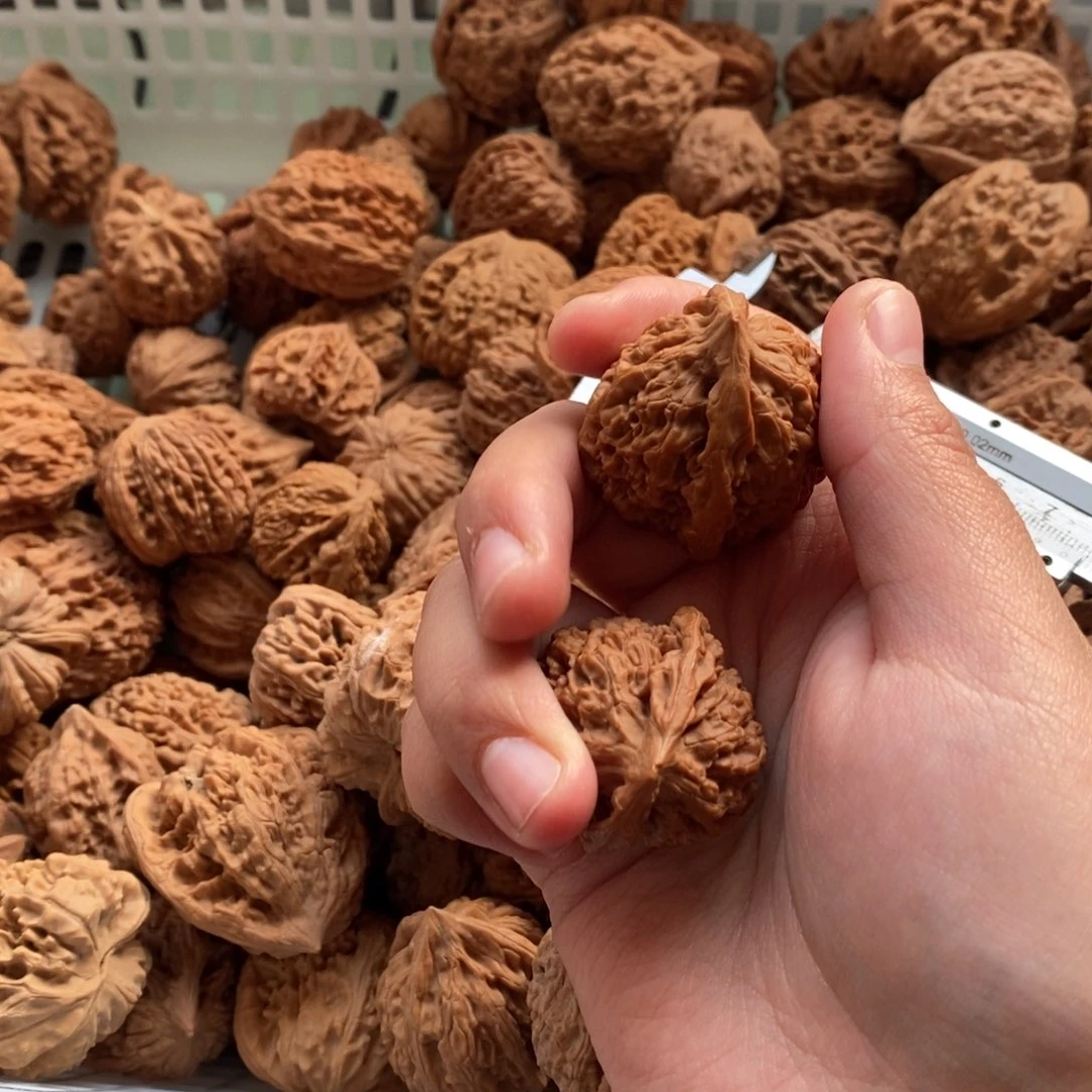 @***室大叶紫檀（黑酸枝木类）