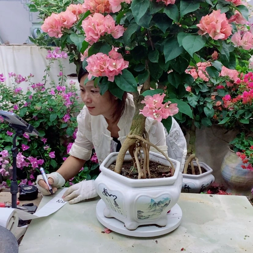 【闪购商品】完全开放