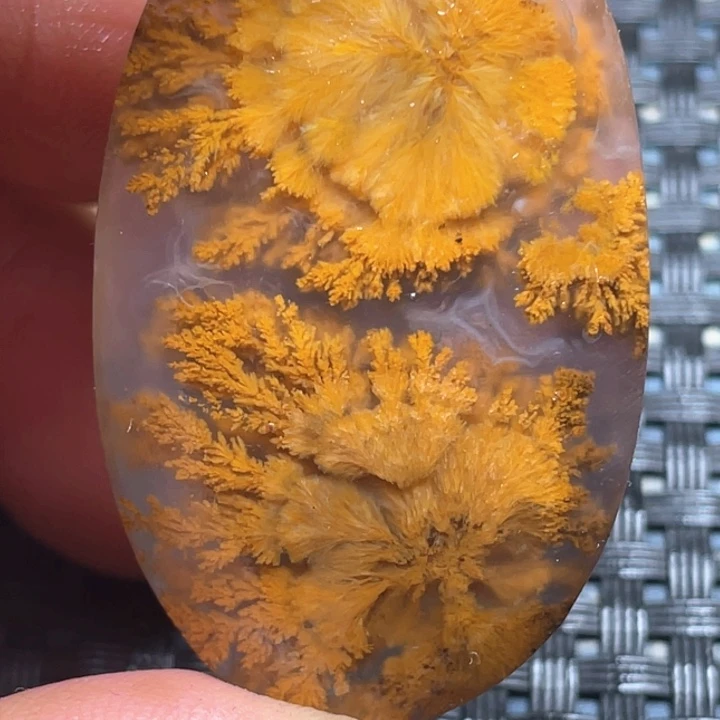 玛瑙/玉髓颈饰未镶嵌冬****枣