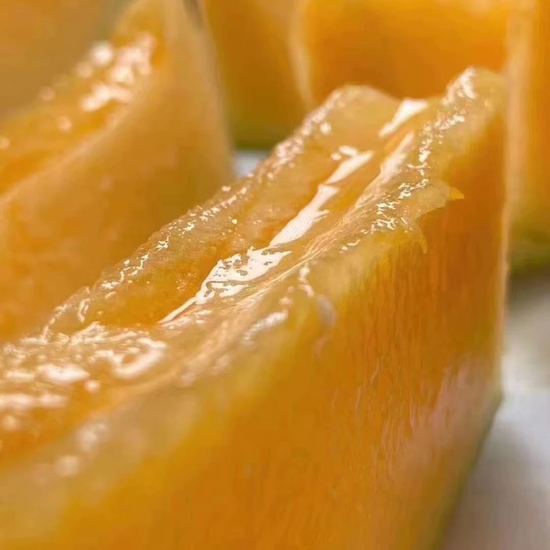 新疆龙金蛋哈密瓜，超脆甜多汁！2粒拍