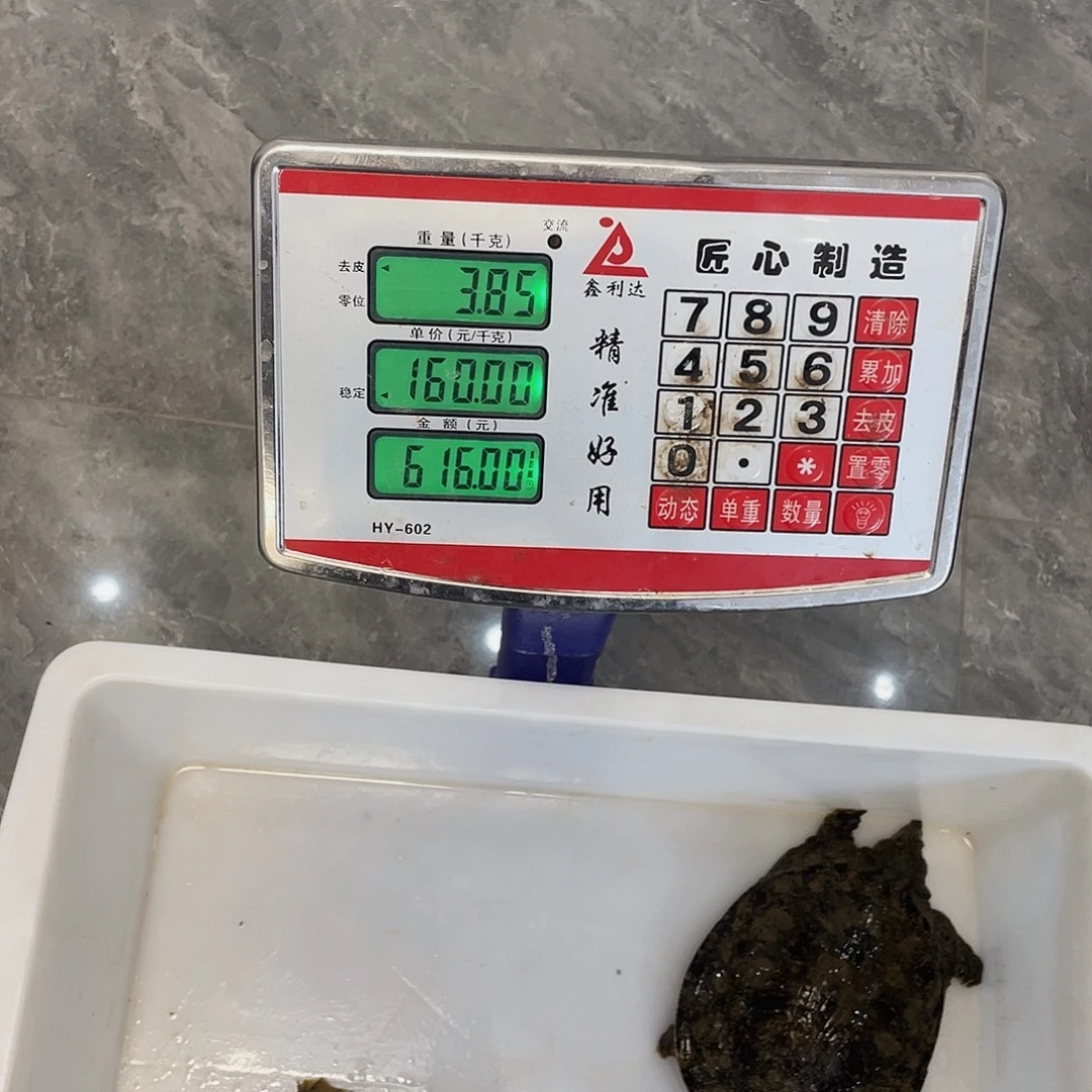 中国大陆12345678