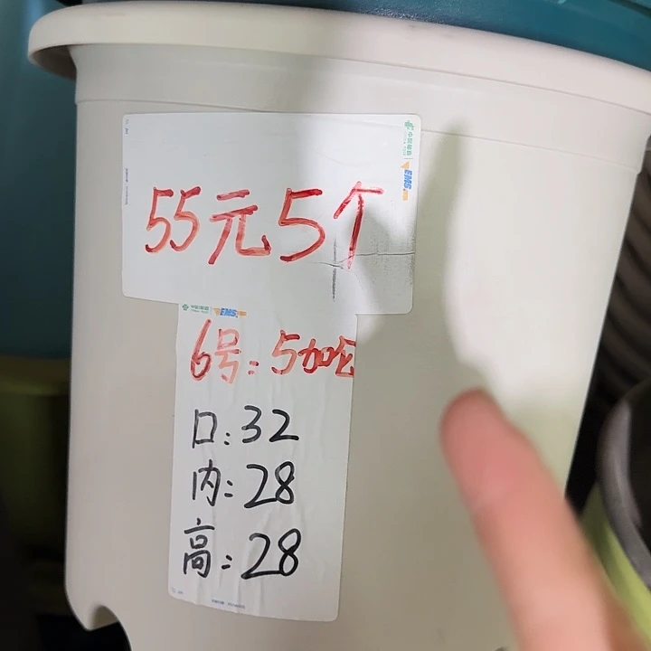 四季6号灰白无托7个特价微瑕