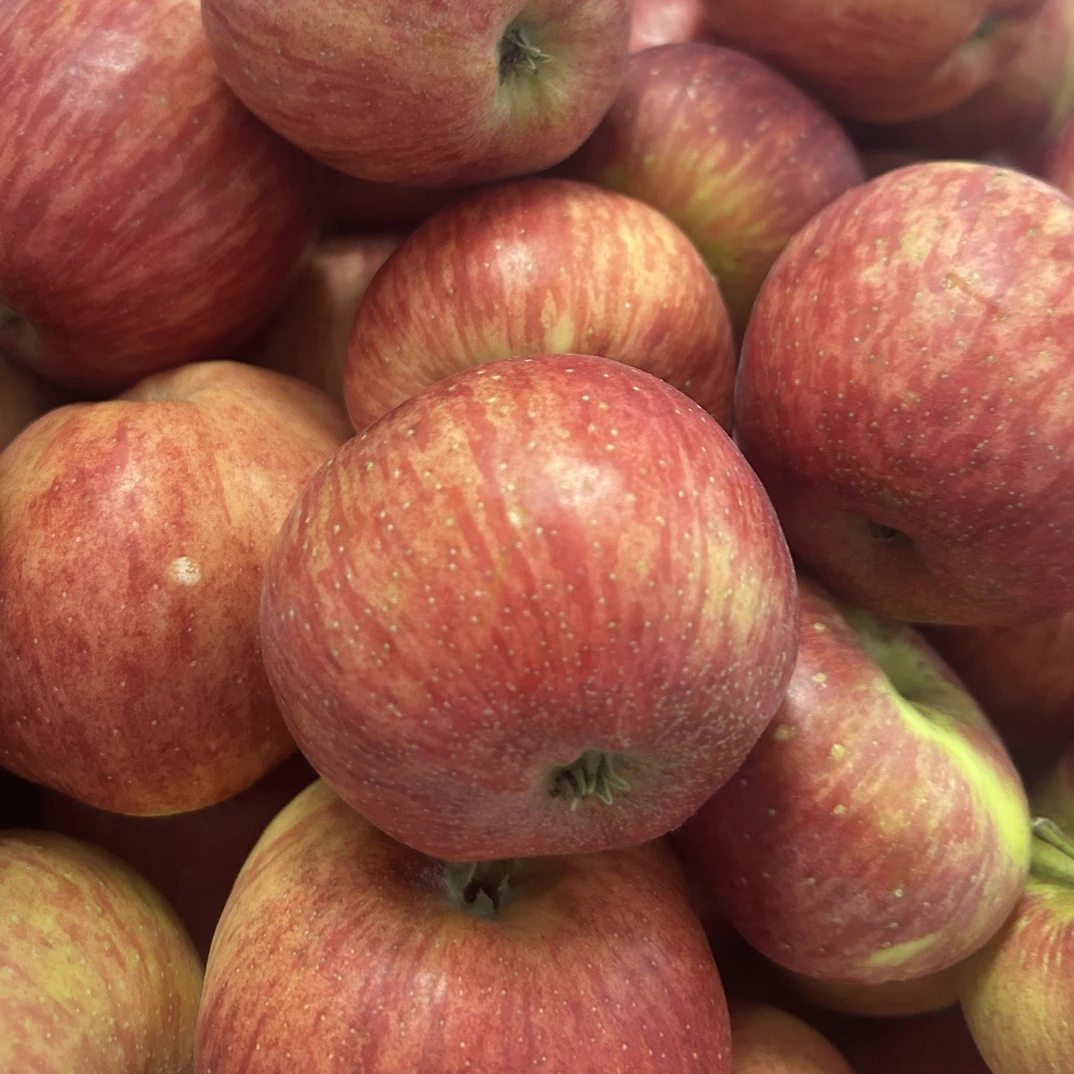 云南昭通丑苹果(宝宝果)新鲜现摘脆甜多汁冰糖心水果