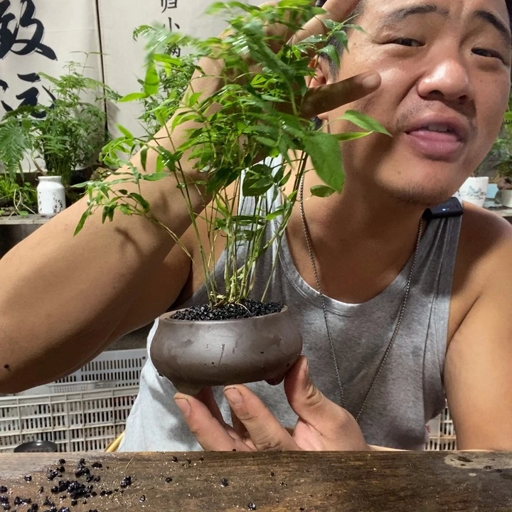 ༄***࿐无花朵退款拉黑拉黑73