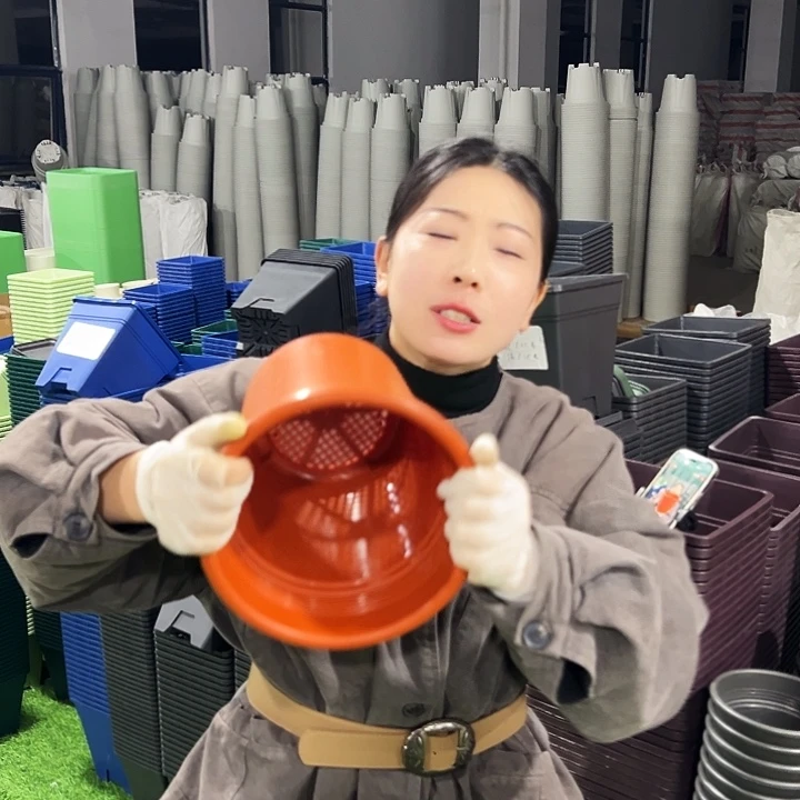 清仓翻边口21高22混色6只无托