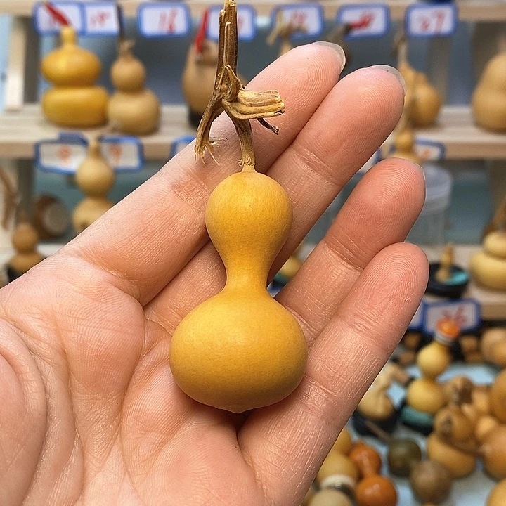 努**搏直播间手把小葫芦