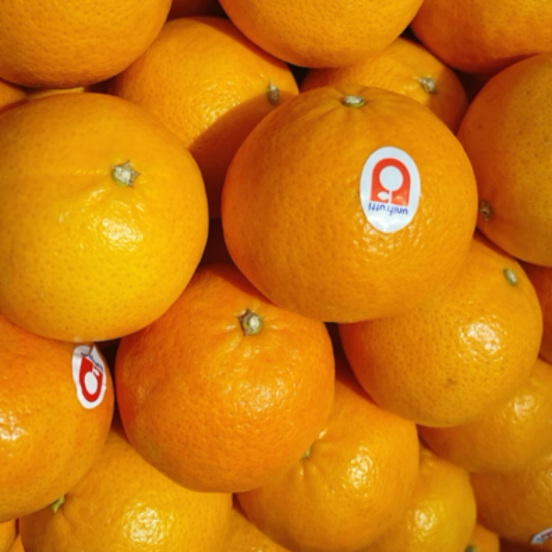 （长岭徐氏果业）锁扣柑，浓浓的橘子香，多汁皮薄，约500克
