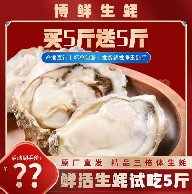 【巨无霸生蚝】新鲜正宗原产地生蚝烧烤聚餐鲜活海蛎子冷水蚝10斤①