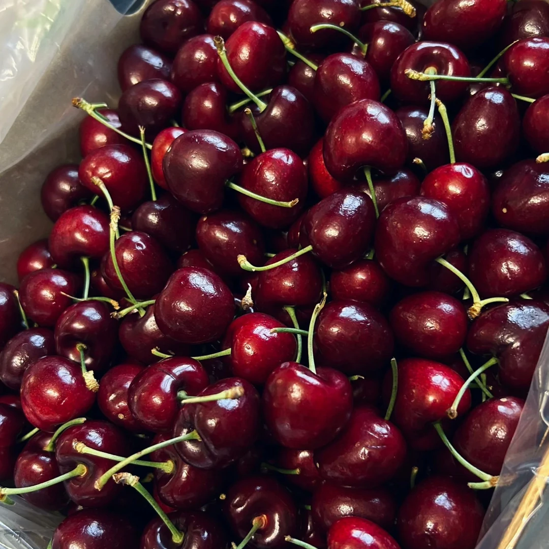 桑提娜车厘子，2JD，5斤净果，海运（口感好推荐）（成箱水果，坏粒属正常现象，介意勿拍）桑提娜智利