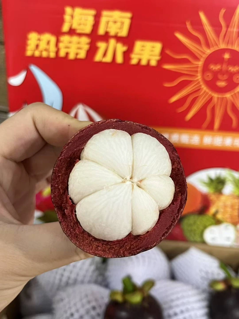 【店内发货】海南热带水果海南山竹新鲜老树肉雪白当季热带水果
