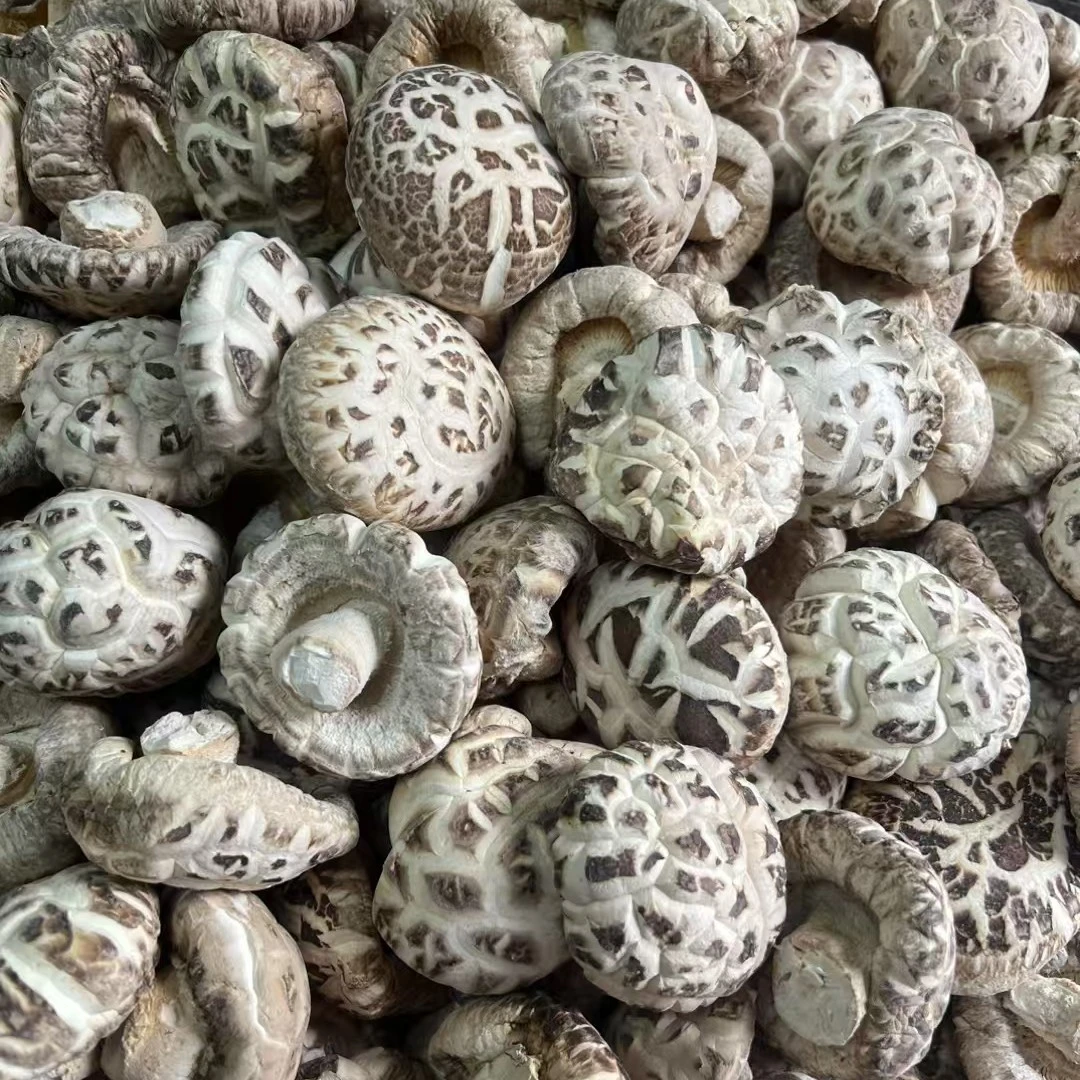 出口级大花菇盒装香菇白花菇礼盒伴手礼