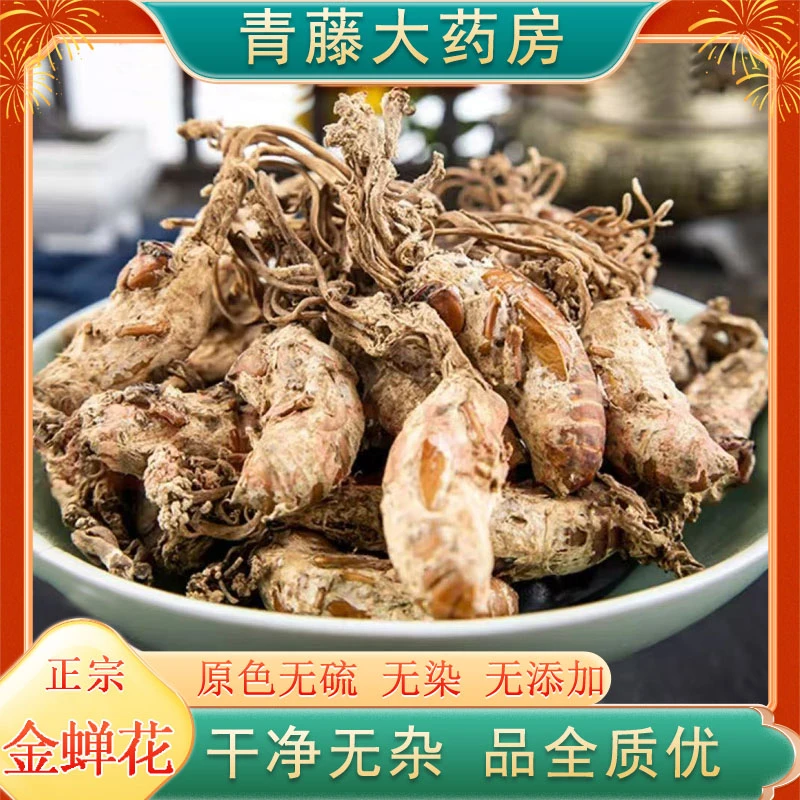 【青藤大药房直售】生金蝉花  煲汤神器老少皆宜