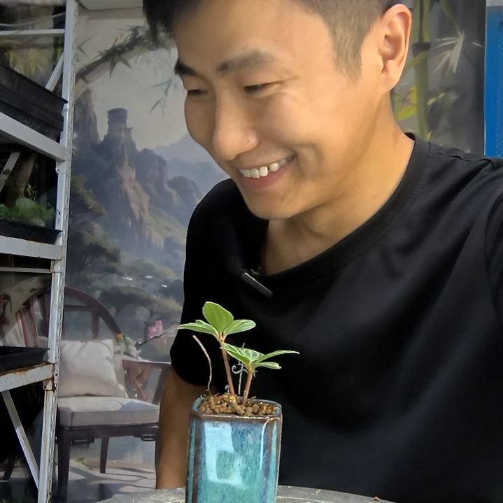 若*?中青园艺一物一拍33