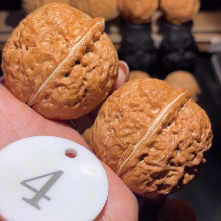 霸王龙核桃尺寸43