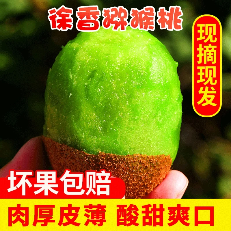 陕绿齐欢农业陕西徐香猕猴桃60-100g现摘现发