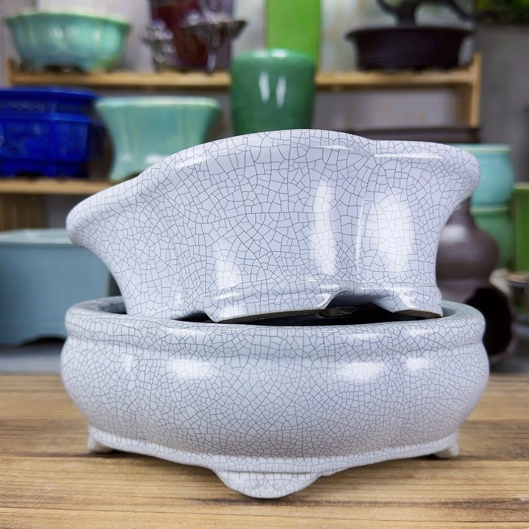 陶瓷花盆特价上新