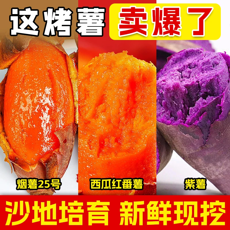 正宗烟薯25紫薯西瓜农家红三拼装沙地蜜薯新鲜现挖糖心流蜜美味