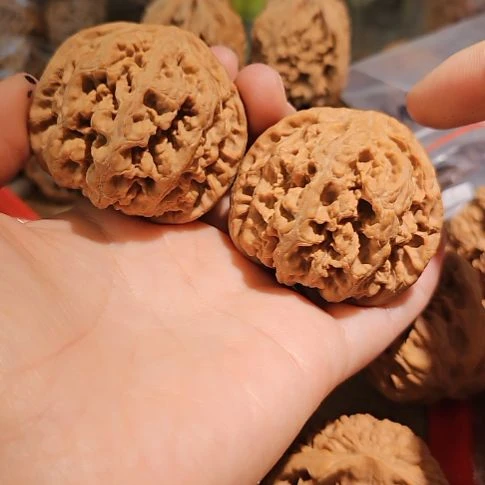 文玩核桃吊坠50粗筋