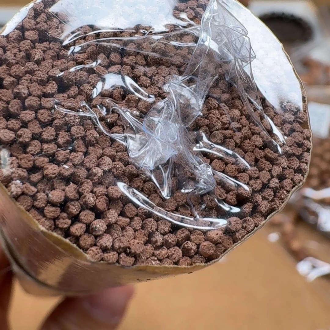 檀香木其他20克红标线香