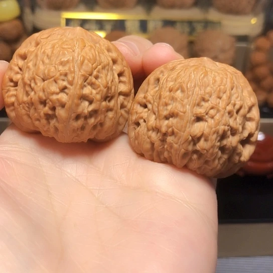 精品泥鳅背全品无