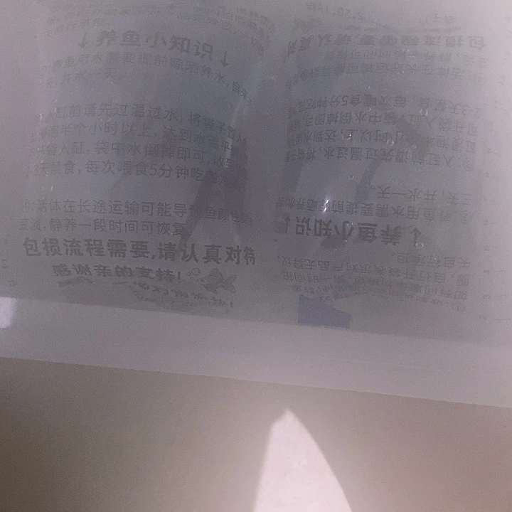 海水鱼星条旗虾虎鱼冷水