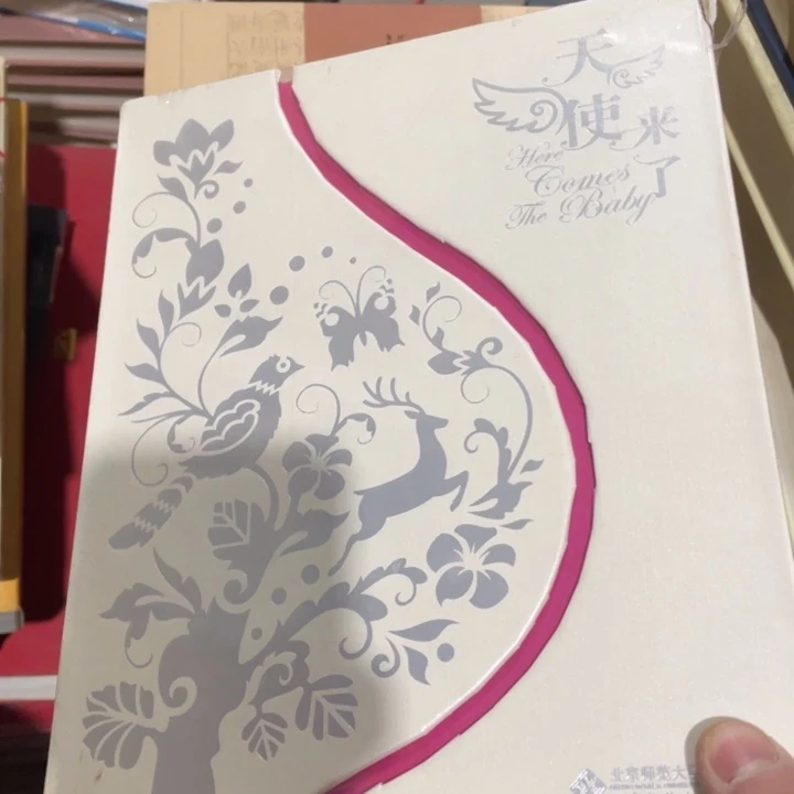 天使来了正版套盒