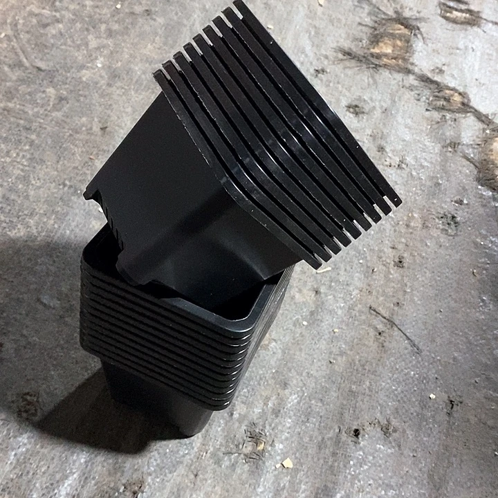 9公分黑方盆10个