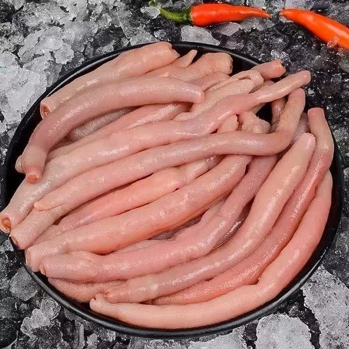 【米乐水产】烟台鲜活沙虫海肠捞饭正宗新鲜海肠特产海肠皮