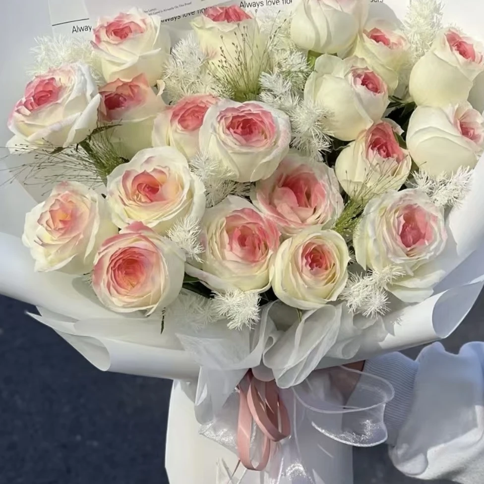 【白桃乌龙 单头玫瑰】10枝昆明鲜花批发次日达顺丰包邮到家 冷丰鲜花基地直发