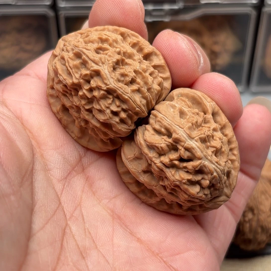 文玩核桃把件白狮子37