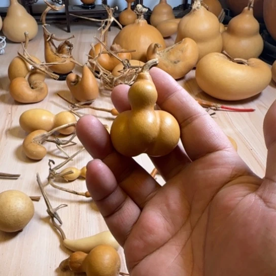 我们的生活也是如此的丰富多彩