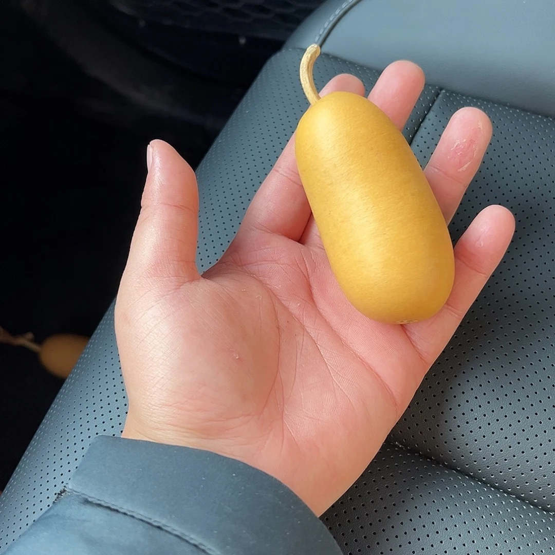 大***A哈哈哈哈哈哈哈哈哈