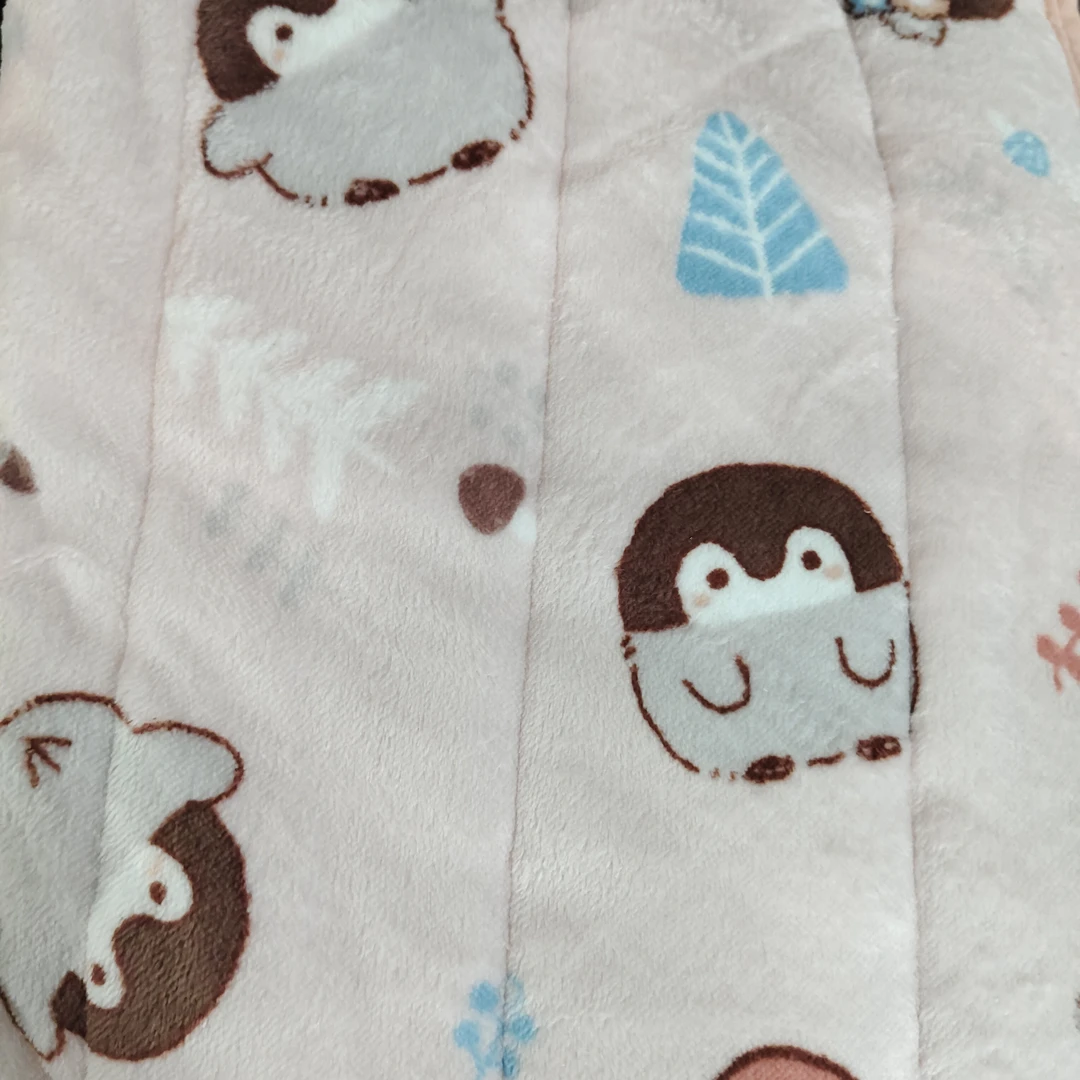 586号加绒毯子花色100*205