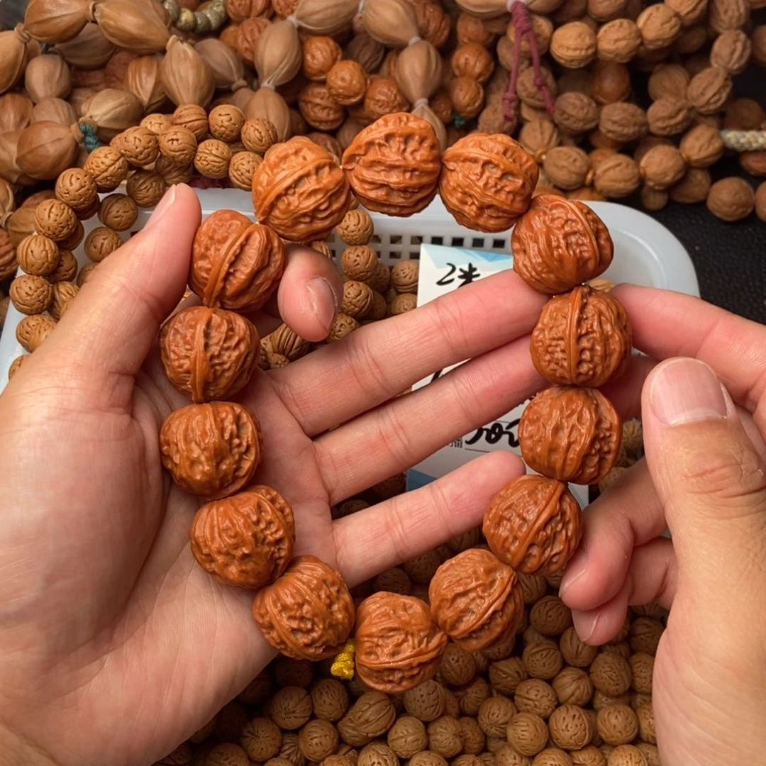 野生小秋子蛤蟆头23尺