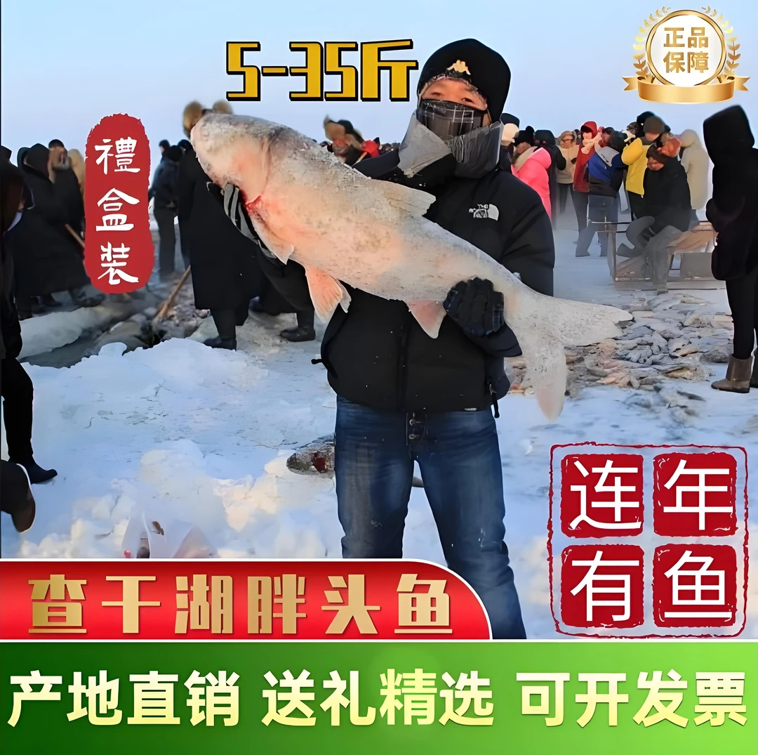 查干圣湖鱼冬捕鱼胖头鱼大头鱼大花鲢鱼鲜活淡水鱼5-40斤特色礼盒