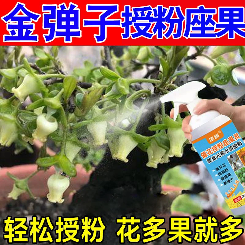 金弹子授粉座果精保花保果防落防裂挂果授粉肥金弹子抗病害促生长