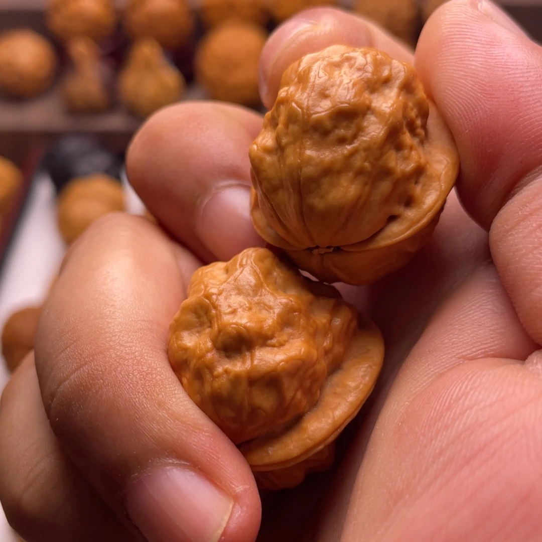 文玩核桃把件金龟子3¥¥¥