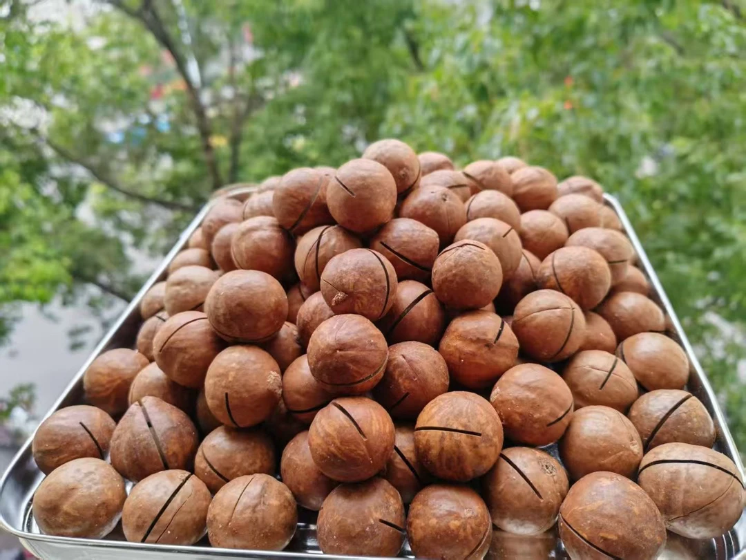 年前发货--云南夏威夷果奶香味囤年货