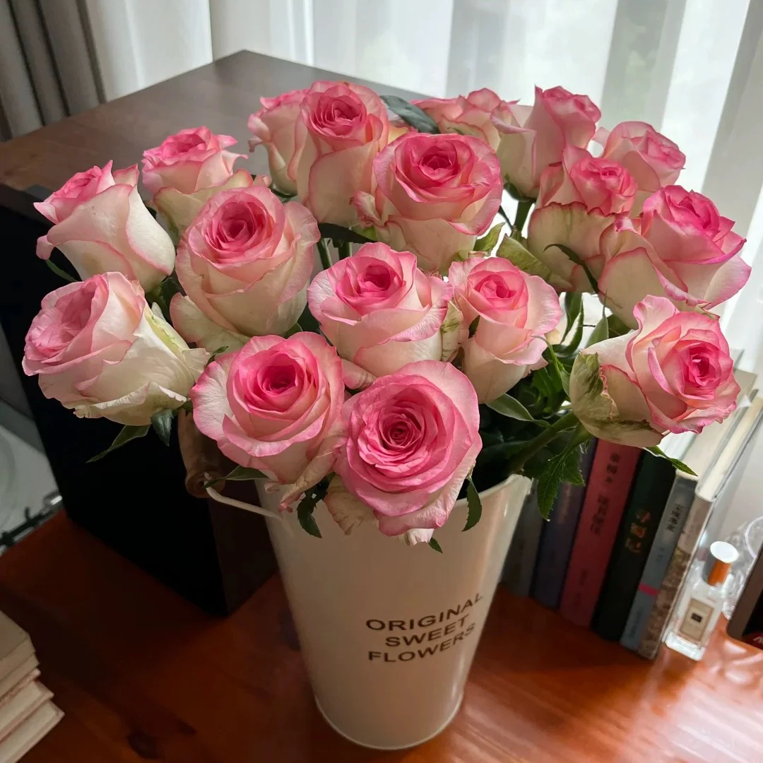 艾莎玫瑰云南基地直发夏季新鲜优质家用鲜花真花爱莎玫瑰花水养