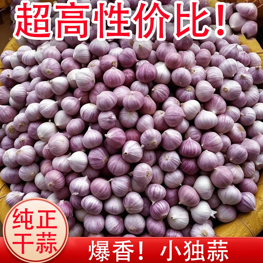 正宗云南农民自种蔬菜纯干紫皮小独头蒜2025年新晒珍珠蒜炒菜直播