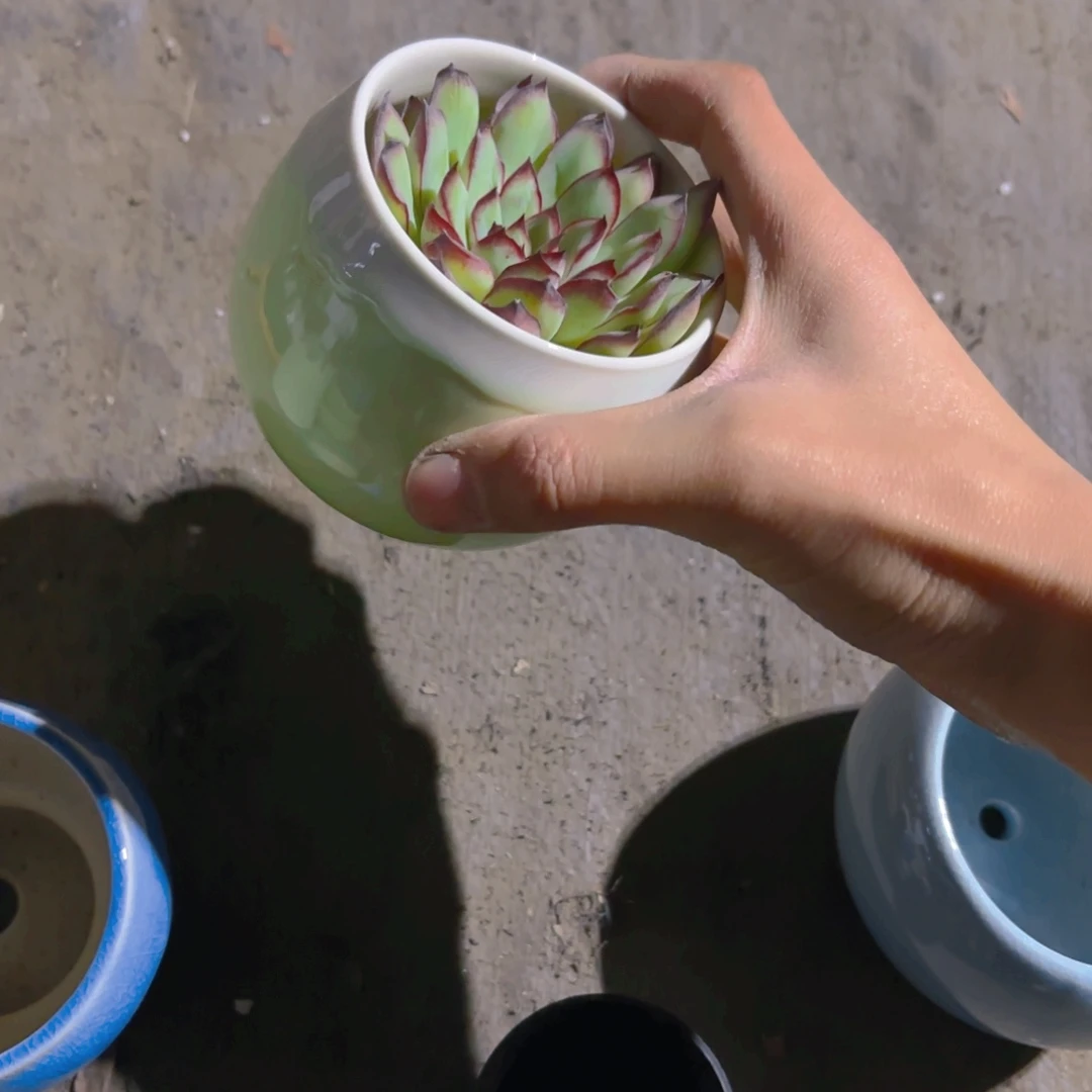 不***呀肉酱盆新疆包邮新疆包邮