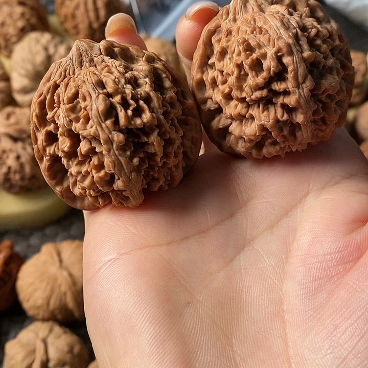 44满天星满天星满天星