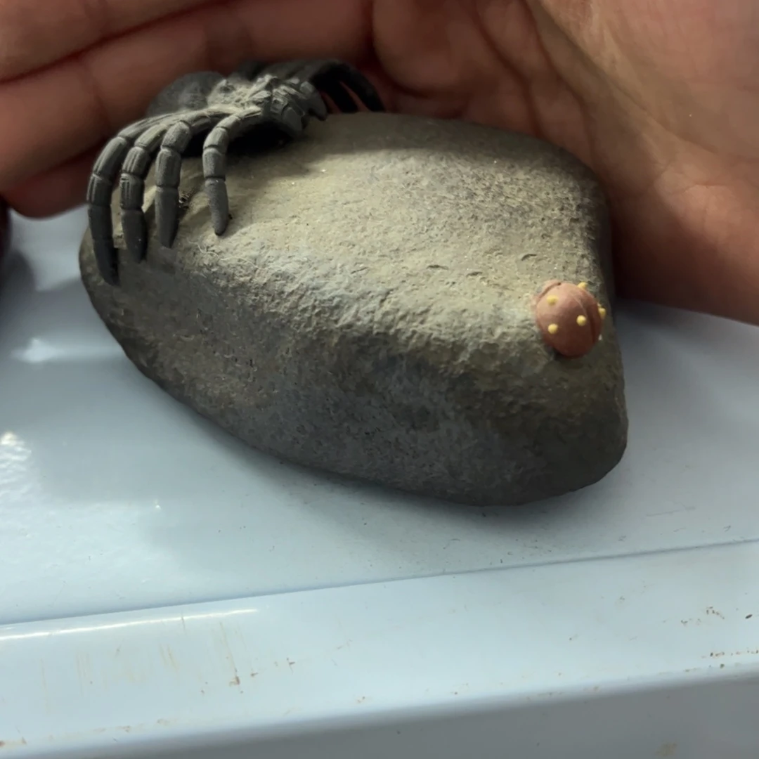 紫砂茶壶夜*歌紫砂作品