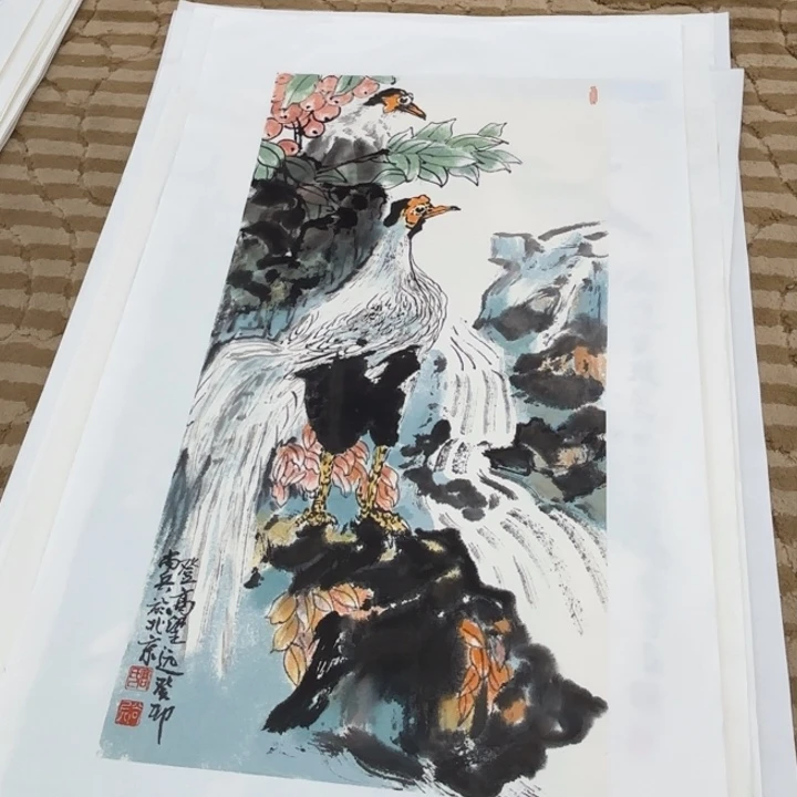 国画花鸟的翅膀是一个巨大的蝴蝶结在空中