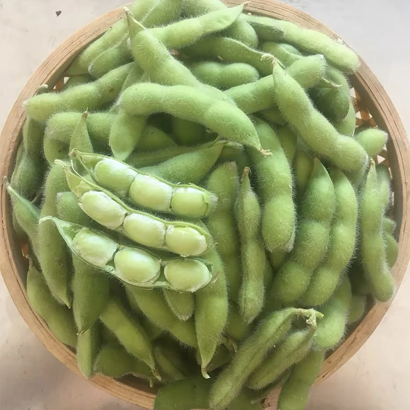 湖北毛豆黄豆米新鲜蔬菜3斤4斤