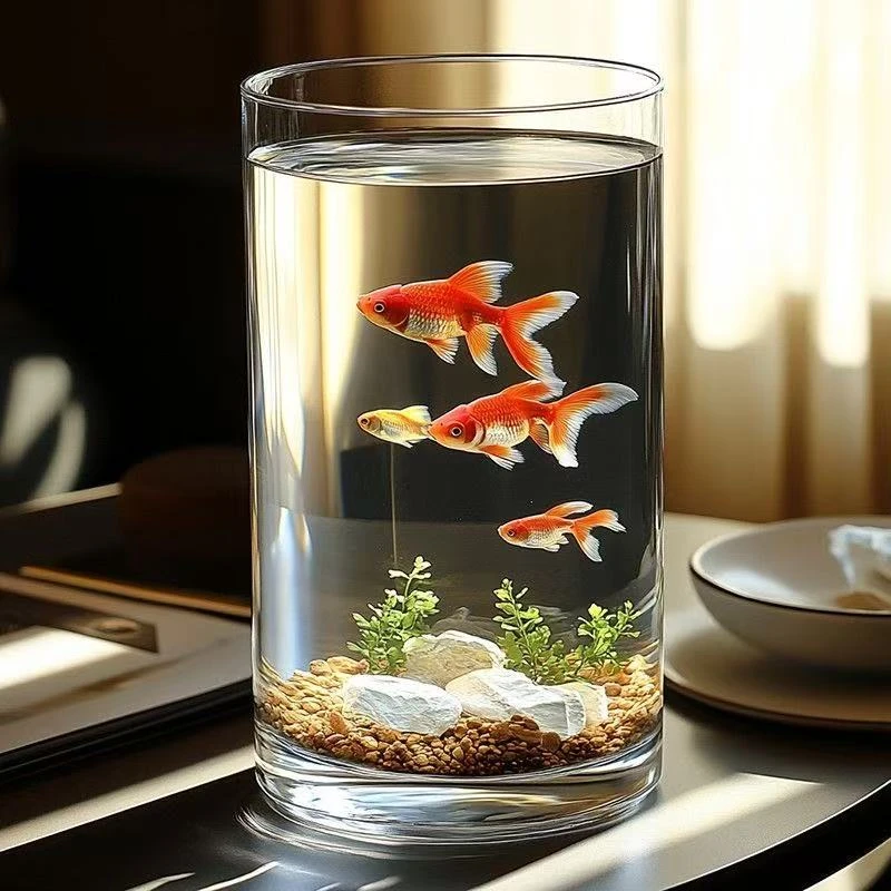 2040加厚圆柱鱼缸直筒透明玻璃金鱼缸客厅大号落地水培绿植