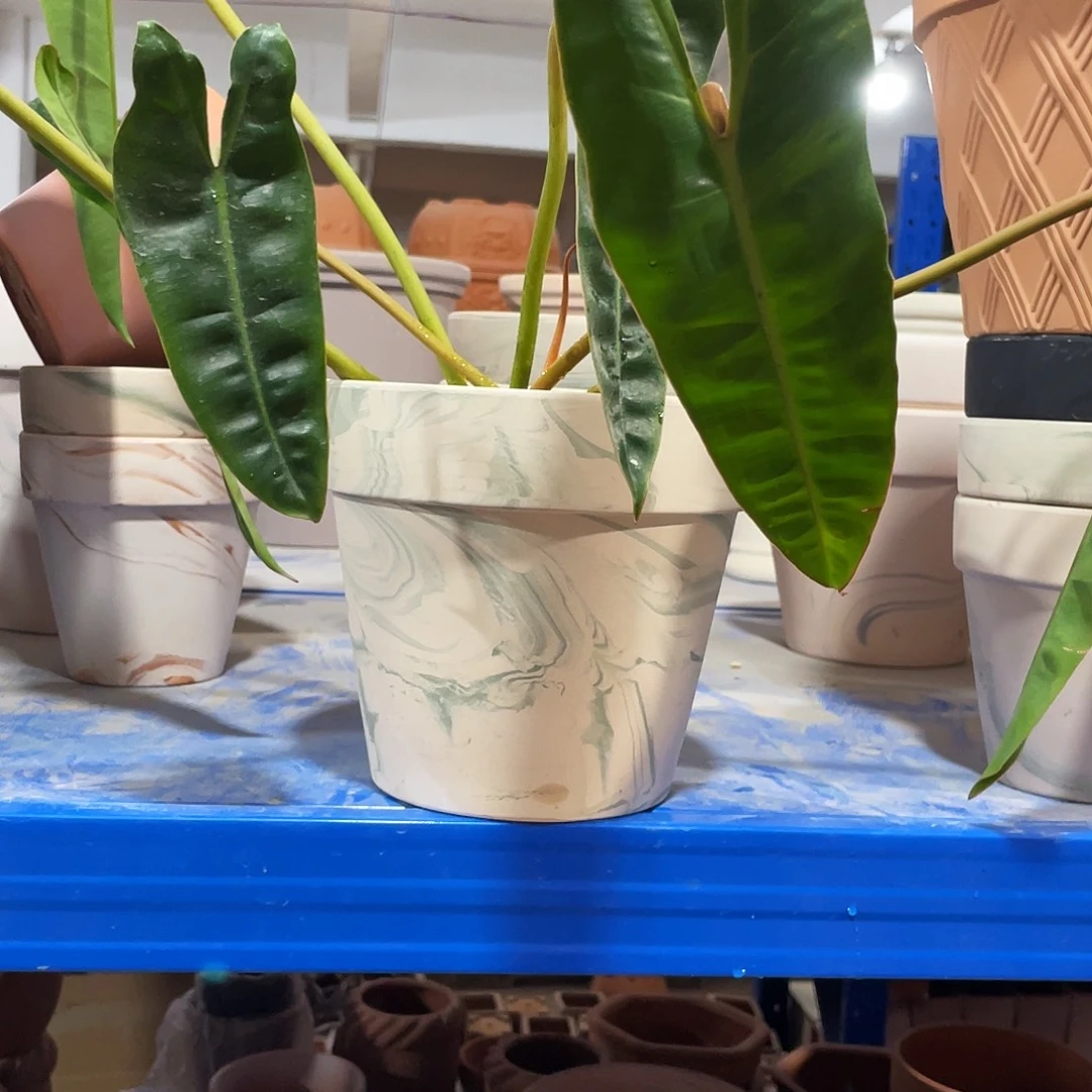 口18×16     备注颜色发2    不含绿植