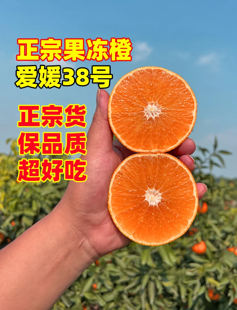 正宗四川爱媛38号果冻橙新鲜水果现摘现发爆甜多汁